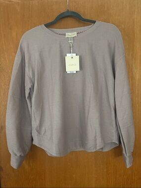 Cupio Taupe Crewneck Lightweight Sweater